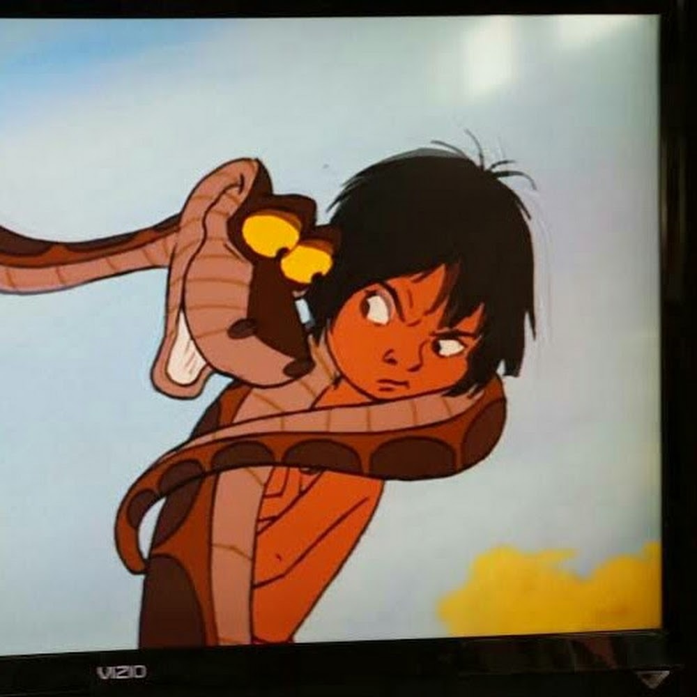 Meet your Posher, Kirra